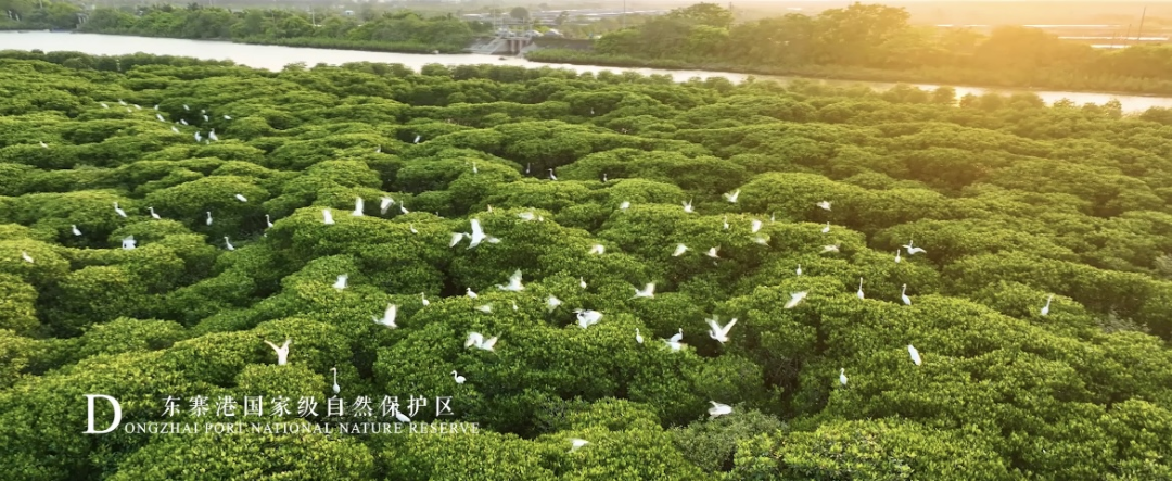 《瞰·海口》城市形象宣传片正式上线！